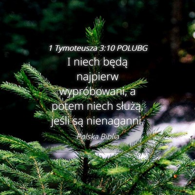 Picture 04 - 1 Tymoteusza 3:10 POLUBG - I niech będą najpierw wypróbowani, a potem - Bible Verse Picture