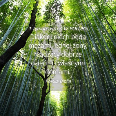 Picture 04 - 1 Tymoteusza 3:12 POLUBG - Diakoni niech będą mężami jednej żony, - Bible Verse Picture