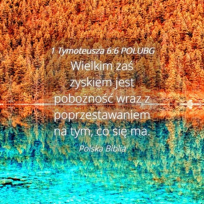 Picture 04 - 1 Tymoteusza 6:6 POLUBG - Wielkim zaś zyskiem jest pobożność wraz z - Bible Verse Picture