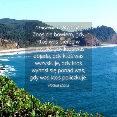 Picture 04 - 2 Koryntian 11:20 POLUBG - Znosicie bowiem, gdy ktoś was bierze w niewolę, - Bible Verse Picture