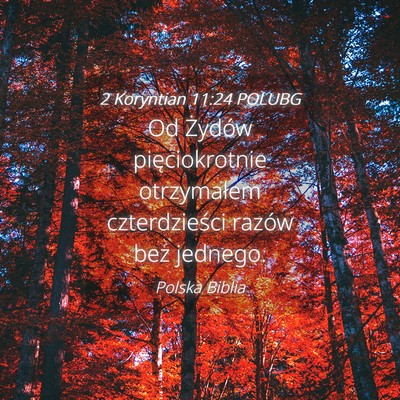 Picture 04 - 2 Koryntian 11:24 POLUBG - Od Żydów pięciokrotnie otrzymałem - Bible Verse Picture
