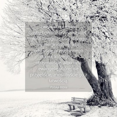 Picture 04 - 2 Koryntian 11:4 POLUBG - Gdyby bowiem przyszedł ktoś i głosił innego - Bible Verse Picture