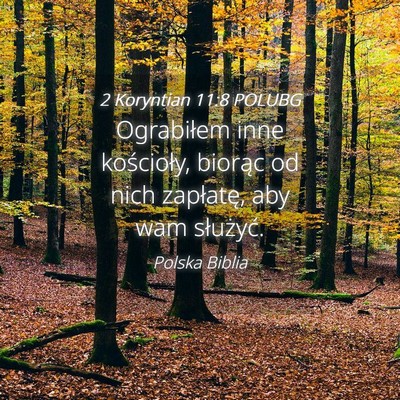 Picture 04 - 2 Koryntian 11:8 POLUBG - Ograbiłem inne kościoły, biorąc od nich - Bible Verse Picture