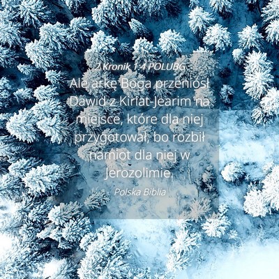 Picture 04 - 2 Kronik 1:4 POLUBG - Ale arkę Boga przeniósł Dawid z Kiriat-Jearim - Bible Verse Picture