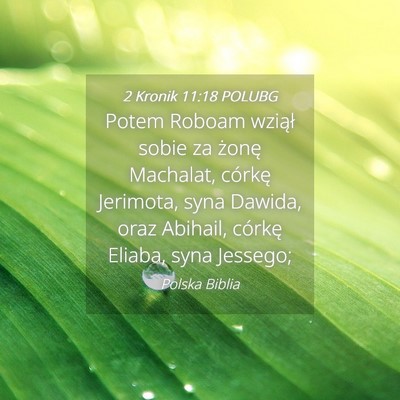 Picture 04 - 2 Kronik 11:18 POLUBG - Potem Roboam wziął sobie za żonę Machalat, - Bible Verse Picture
