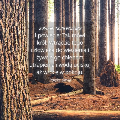 Picture 04 - 2 Kronik 18:26 POLUBG - I powiecie: Tak mówi król: Wtrąćcie tego - Bible Verse Picture