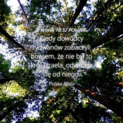 Picture 04 - 2 Kronik 18:32 POLUBG - Kiedy dowódcy rydwanów zobaczyli bowiem, że - Bible Verse Picture
