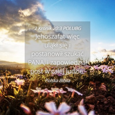 Picture 04 - 2 Kronik 20:3 POLUBG - Jehoszafat więc uląkł się i postanowił - Bible Verse Picture