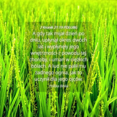 Picture 04 - 2 Kronik 21:19 POLUBG - A gdy tak mijał dzień po dniu, upłynął okres - Bible Verse Picture