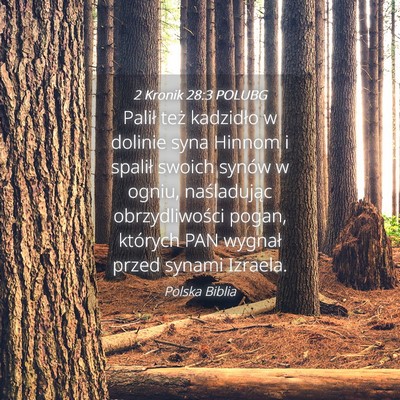 Picture 04 - 2 Kronik 28:3 POLUBG - Palił też kadzidło w dolinie syna Hinnom i - Bible Verse Picture
