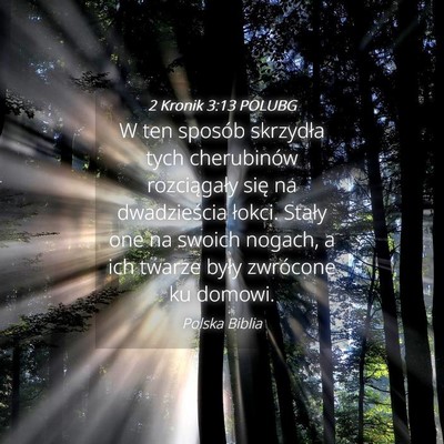 Picture 04 - 2 Kronik 3:13 POLUBG - W ten sposób skrzydła tych cherubinów - Bible Verse Picture