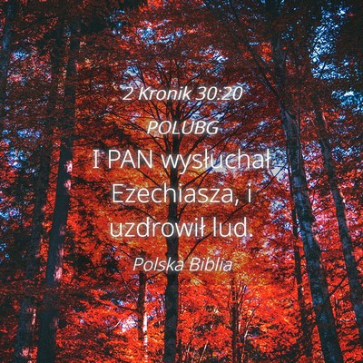 Picture 04 - 2 Kronik 30:20 POLUBG - I PAN wysłuchał Ezechiasza, i uzdrowił - Bible Verse Picture