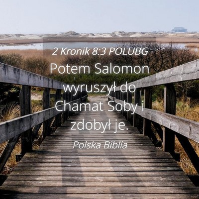 Picture 04 - 2 Kronik 8:3 POLUBG - Potem Salomon wyruszył do Chamat Soby i zdobył - Bible Verse Picture