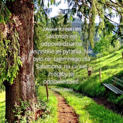 Picture 04 - 2 Kronik 9:2 POLUBG - Salomon zaś odpowiedział na wszystkie jej - Bible Verse Picture