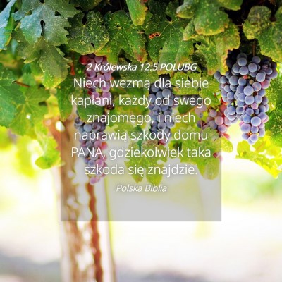 Picture 04 - 2 Królewska 12:5 POLUBG - Niech wezmą dla siebie kapłani, każdy od swego - Bible Verse Picture