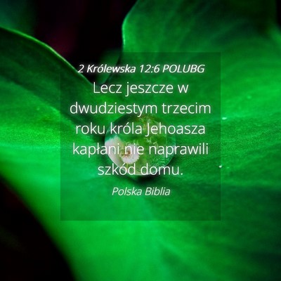 Picture 04 - 2 Królewska 12:6 POLUBG - Lecz jeszcze w dwudziestym trzecim roku króla - Bible Verse Picture