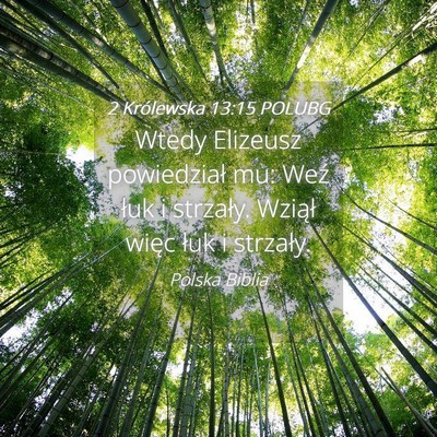Picture 04 - 2 Królewska 13:15 POLUBG - Wtedy Elizeusz powiedział mu: Weź łuk i - Bible Verse Picture