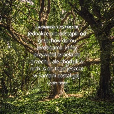 Picture 04 - 2 Królewska 13:6 POLUBG - Jednakże nie odstąpili od grzechów domu - Bible Verse Picture