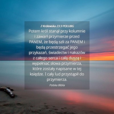 Picture 04 - 2 Królewska 23:3 POLUBG - Potem król stanął przy kolumnie i zawarł - Bible Verse Picture