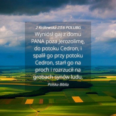 Picture 04 - 2 Królewska 23:6 POLUBG - Wyniósł gaj z domu PANA poza Jerozolimę, do - Bible Verse Picture