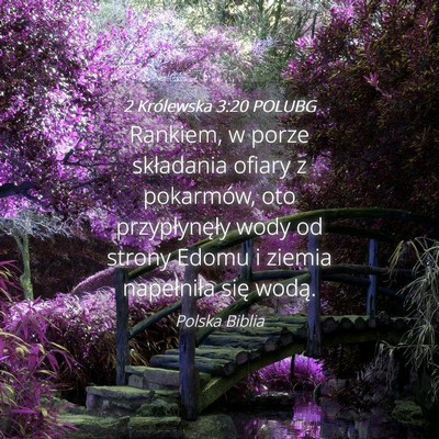 Picture 04 - 2 Królewska 3:20 POLUBG - Rankiem, w porze składania ofiary z pokarmów, - Bible Verse Picture