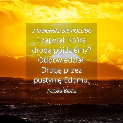 Picture 04 - 2 Królewska 3:8 POLUBG - I zapytał: Którą drogą pójdziemy? - Bible Verse Picture