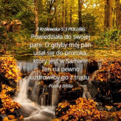 Picture 04 - 2 Królewska 5:3 POLUBG - Powiedziała do swojej pani: O gdyby mój pan - Bible Verse Picture