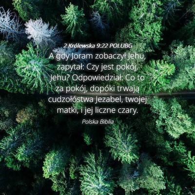 Picture 04 - 2 Królewska 9:22 POLUBG - A gdy Joram zobaczył Jehu, zapytał: Czy jest - Bible Verse Picture
