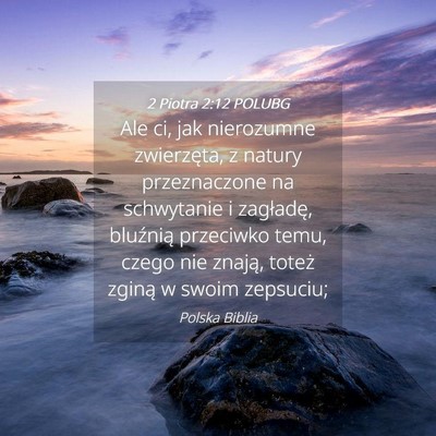 Picture 04 - 2 Piotra 2:12 POLUBG - Ale ci, jak nierozumne zwierzęta, z natury - Bible Verse Picture
