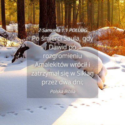 Picture 04 - 2 Samuela 1:1 POLUBG - Po śmierci Saula, gdy Dawid po rozgromieniu - Bible Verse Picture