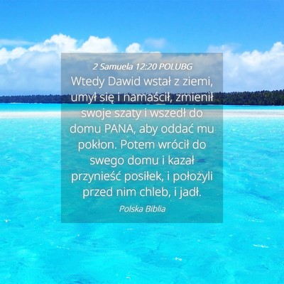 Picture 04 - 2 Samuela 12:20 POLUBG - Wtedy Dawid wstał z ziemi, umył się i - Bible Verse Picture
