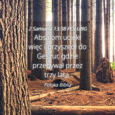 Picture 04 - 2 Samuela 13:38 POLUBG - Absalom uciekł więc i przyszedł do Geszur, - Bible Verse Picture