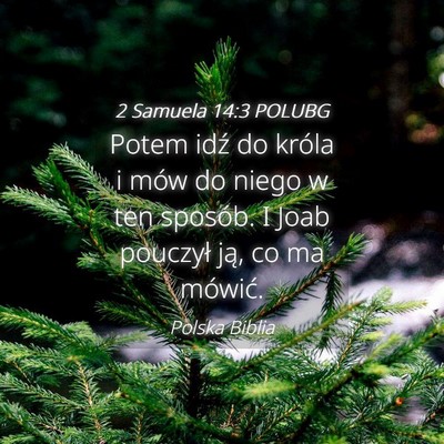 Picture 04 - 2 Samuela 14:3 POLUBG - Potem idź do króla i mów do niego w ten - Bible Verse Picture
