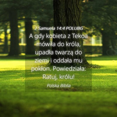 Picture 04 - 2 Samuela 14:4 POLUBG - A gdy kobieta z Tekoa mówiła do króla, upadła - Bible Verse Picture