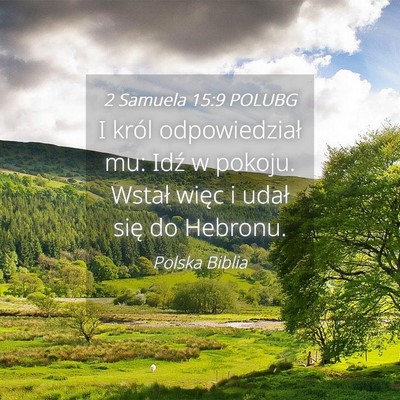 Picture 04 - 2 Samuela 15:9 POLUBG - I król odpowiedział mu: Idź w pokoju. Wstał - Bible Verse Picture