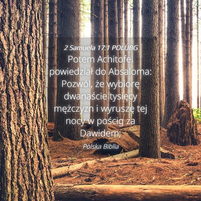 Picture 04 - 2 Samuela 17:1 POLUBG - Potem Achitofel powiedział do Absaloma: Pozwól, - Bible Verse Picture