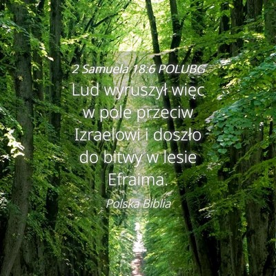 Picture 04 - 2 Samuela 18:6 POLUBG - Lud wyruszył więc w pole przeciw Izraelowi i - Bible Verse Picture