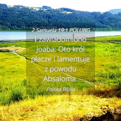 Picture 04 - 2 Samuela 19:1 POLUBG - I zawiadomiono Joaba: Oto król płacze i - Bible Verse Picture