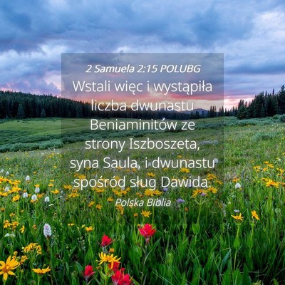 Picture 04 - 2 Samuela 2:15 POLUBG - Wstali więc i wystąpiła liczba dwunastu - Bible Verse Picture