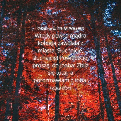 Picture 04 - 2 Samuela 20:16 POLUBG - Wtedy pewna mądra kobieta zawołała z miasta: - Bible Verse Picture