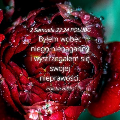 Picture 04 - 2 Samuela 22:24 POLUBG - Byłem wobec niego nienaganny i wystrzegałem - Bible Verse Picture