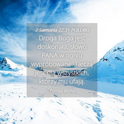 Picture 04 - 2 Samuela 22:31 POLUBG - Droga Boga jest doskonała, słowo PANA w ogniu - Bible Verse Picture