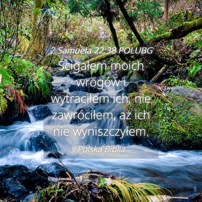 Picture 04 - 2 Samuela 22:38 POLUBG - Ścigałem moich wrogów i wytraciłem ich, nie - Bible Verse Picture