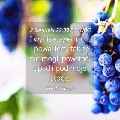Picture 04 - 2 Samuela 22:39 POLUBG - I wyniszczyłem ich, i powaliłem, tak że nie - Bible Verse Picture