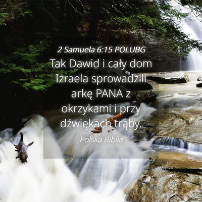 Picture 04 - 2 Samuela 6:15 POLUBG - Tak Dawid i cały dom Izraela sprowadzili arkę - Bible Verse Picture