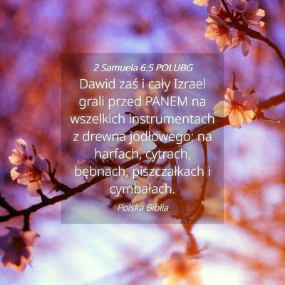 Picture 04 - 2 Samuela 6:5 POLUBG - Dawid zaś i cały Izrael grali przed PANEM na - Bible Verse Picture