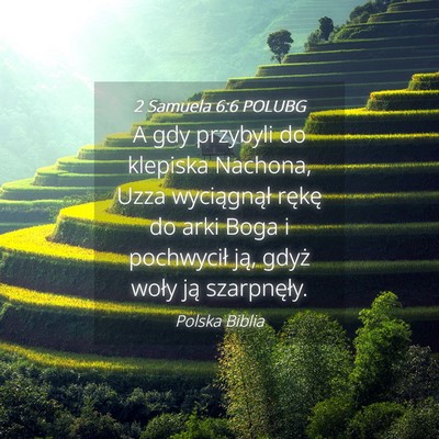 Picture 04 - 2 Samuela 6:6 POLUBG - A gdy przybyli do klepiska Nachona, Uzza - Bible Verse Picture