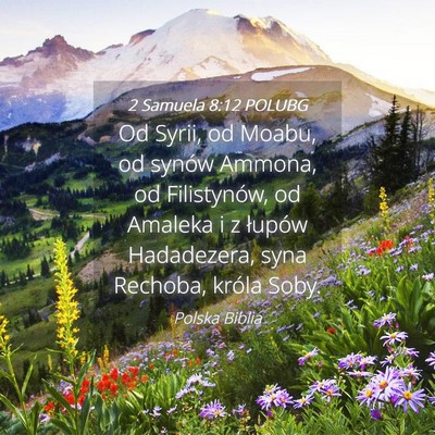 Picture 04 - 2 Samuela 8:12 POLUBG - Od Syrii, od Moabu, od synów Ammona, od - Bible Verse Picture