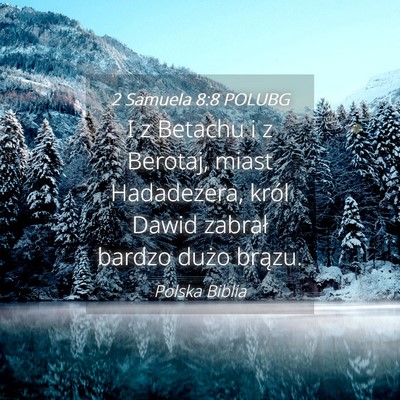 Picture 04 - 2 Samuela 8:8 POLUBG - I z Betachu i z Berotaj, miast Hadadezera, król - Bible Verse Picture