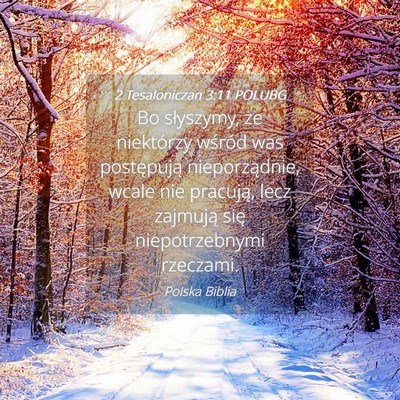 Picture 04 - 2 Tesaloniczan 3:11 POLUBG - Bo słyszymy, że niektórzy wśród was - Bible Verse Picture